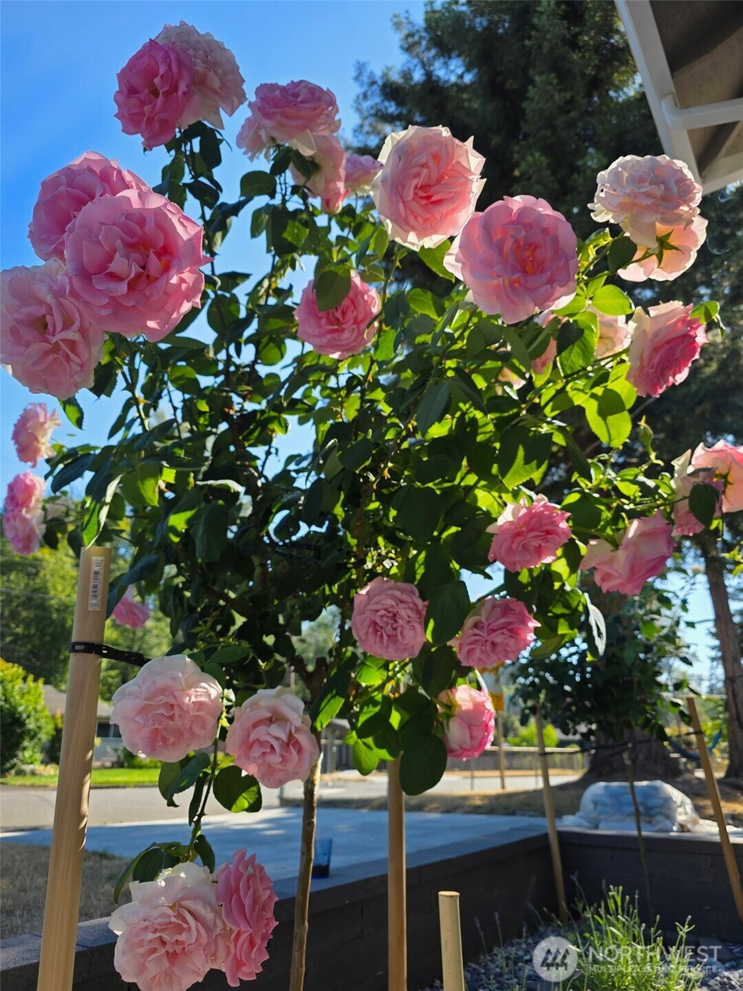 Single car garage off the side of the house.