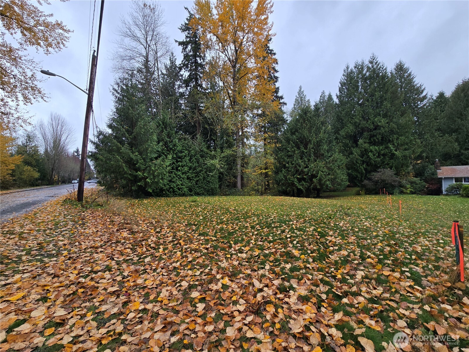 property for sale is to the Left of the ribbons. New DW & Utilities go here also.