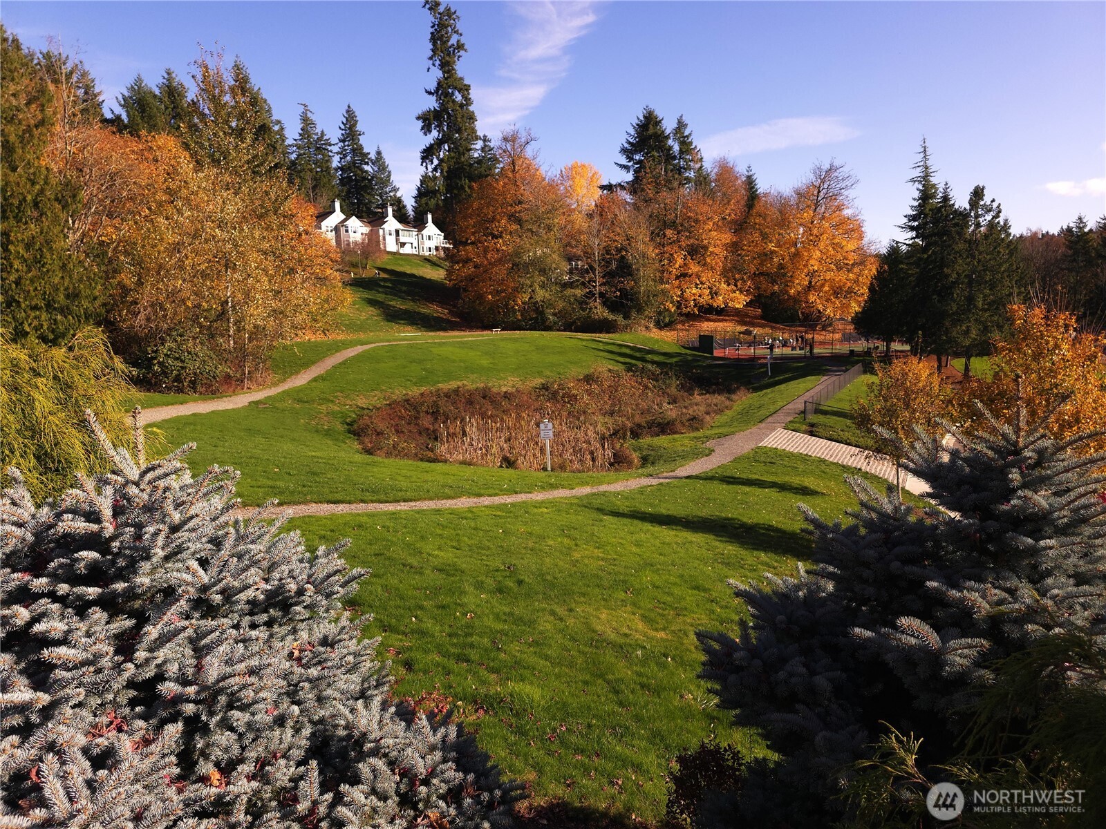 Pickleballers pickleballing.  Swale with some native plants.