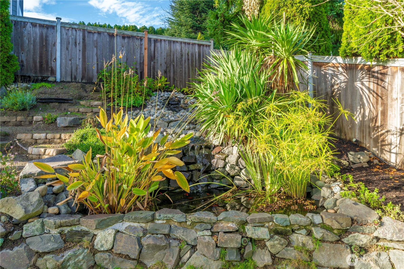 Custom-built koi pond fed by a tranquil, hand-crafted stream