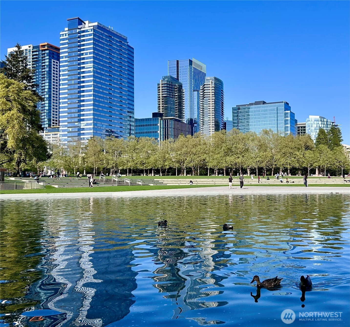 City center location near Bellevue Park.