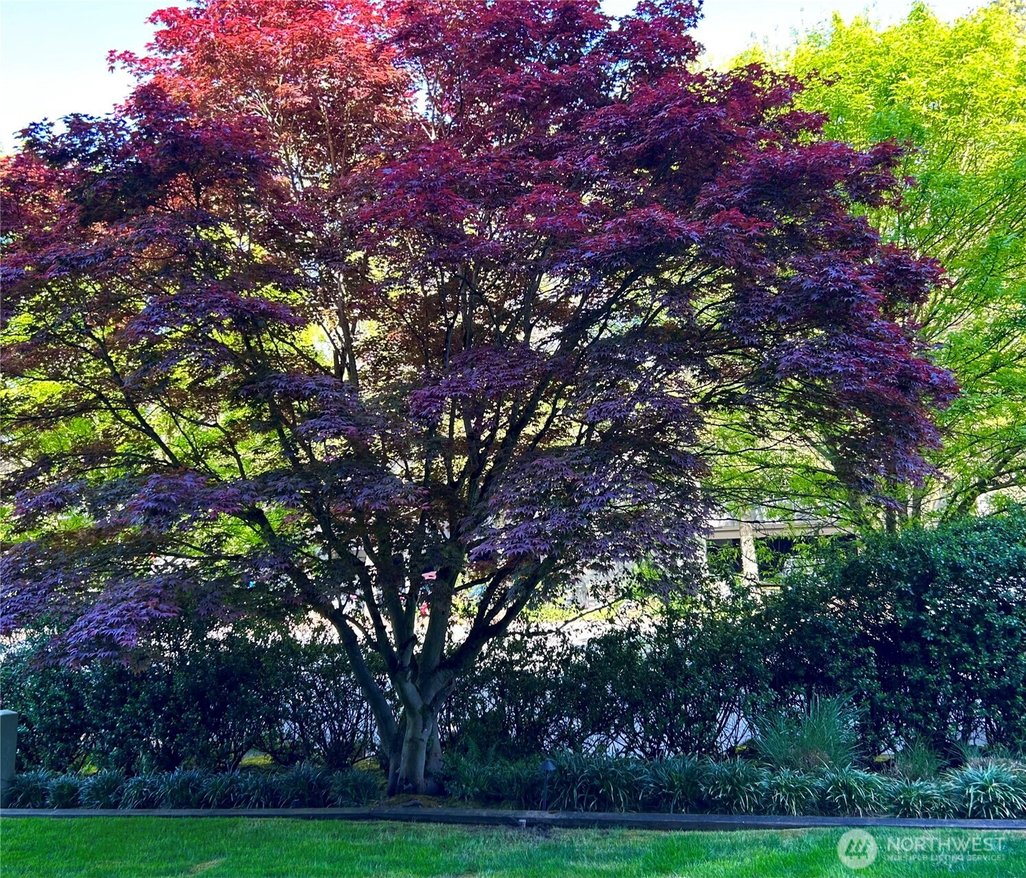 Overlook a lush and well manicured yard!