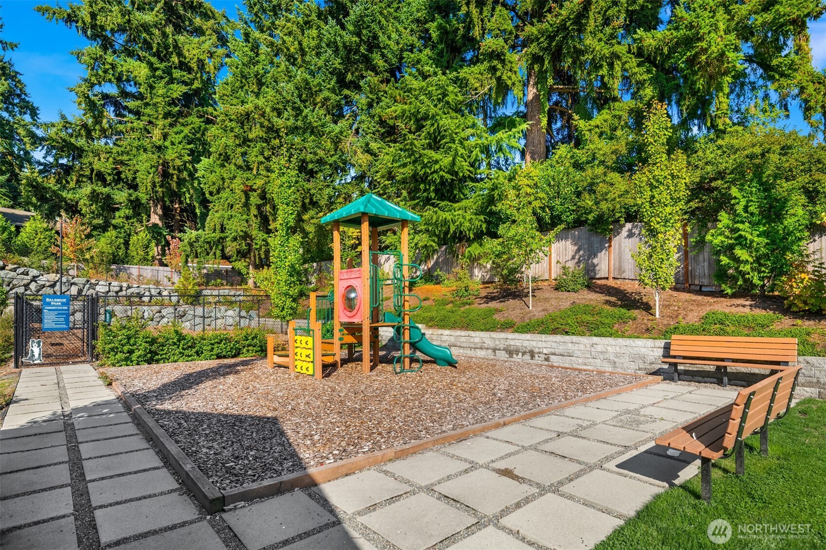 Daily fun and the gathering place!