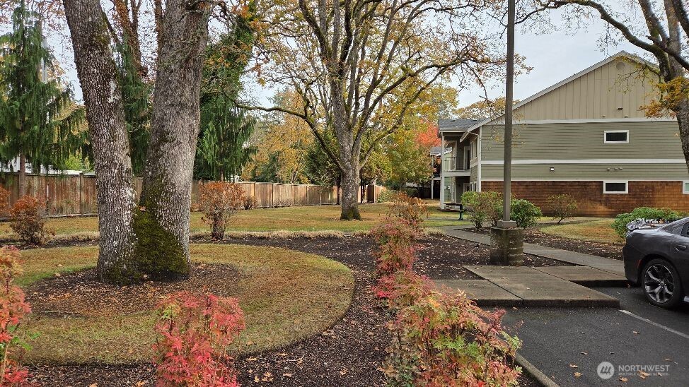 A little of the park lioke grounds