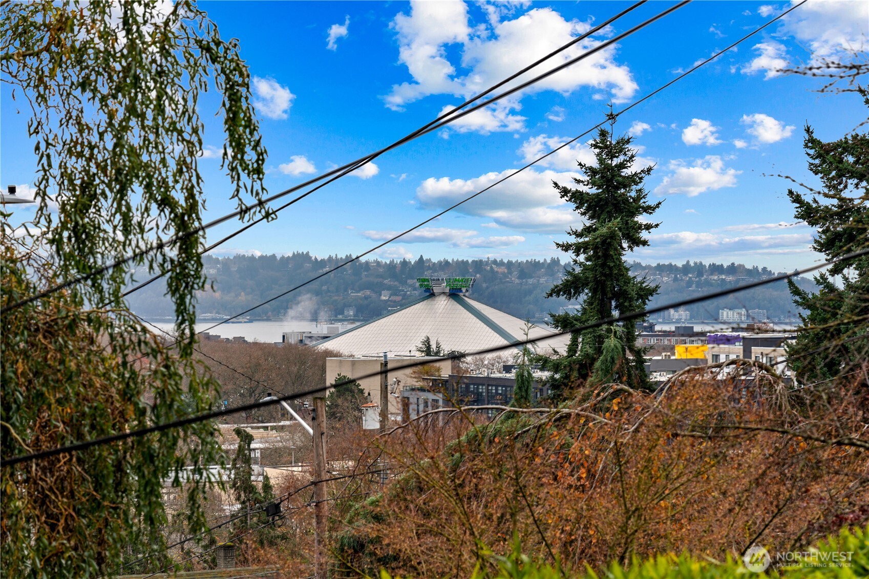 Seattle skyline views