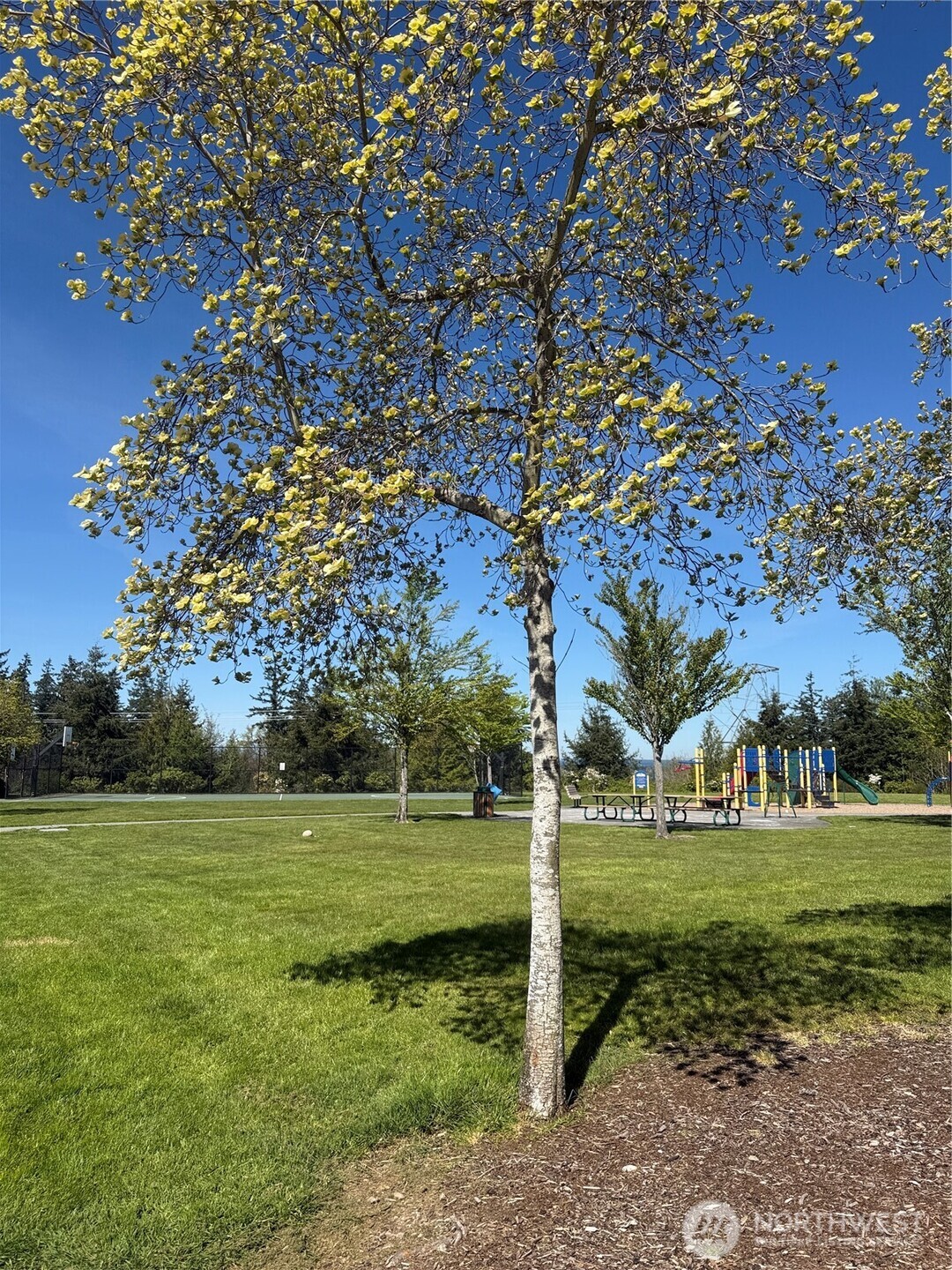 Playground right next door.