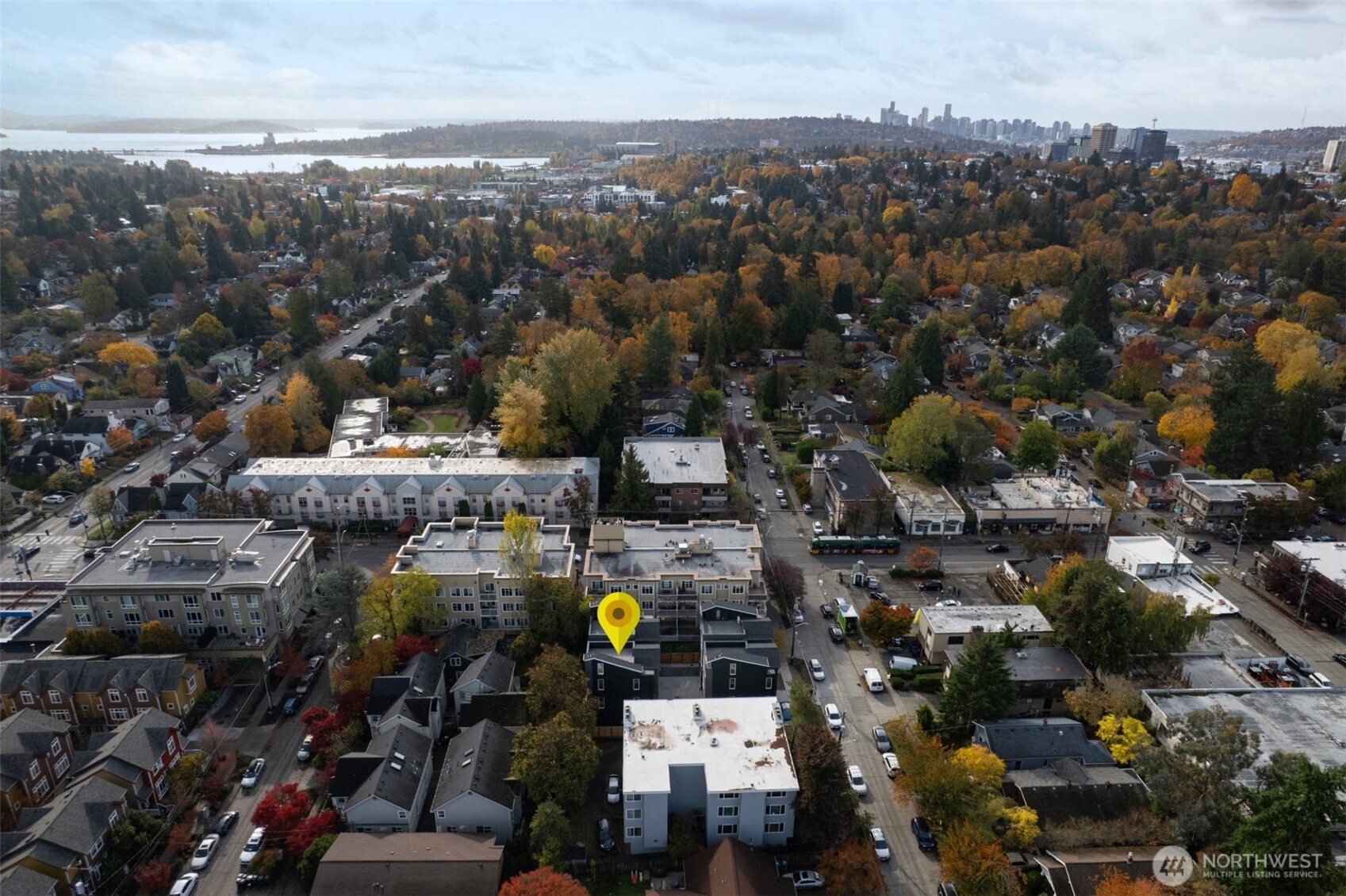 STROLL over Ravenna Park on your way to UW Campus