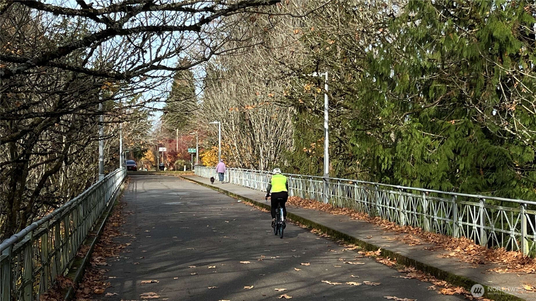STROLL TO beautiful Ravenna park