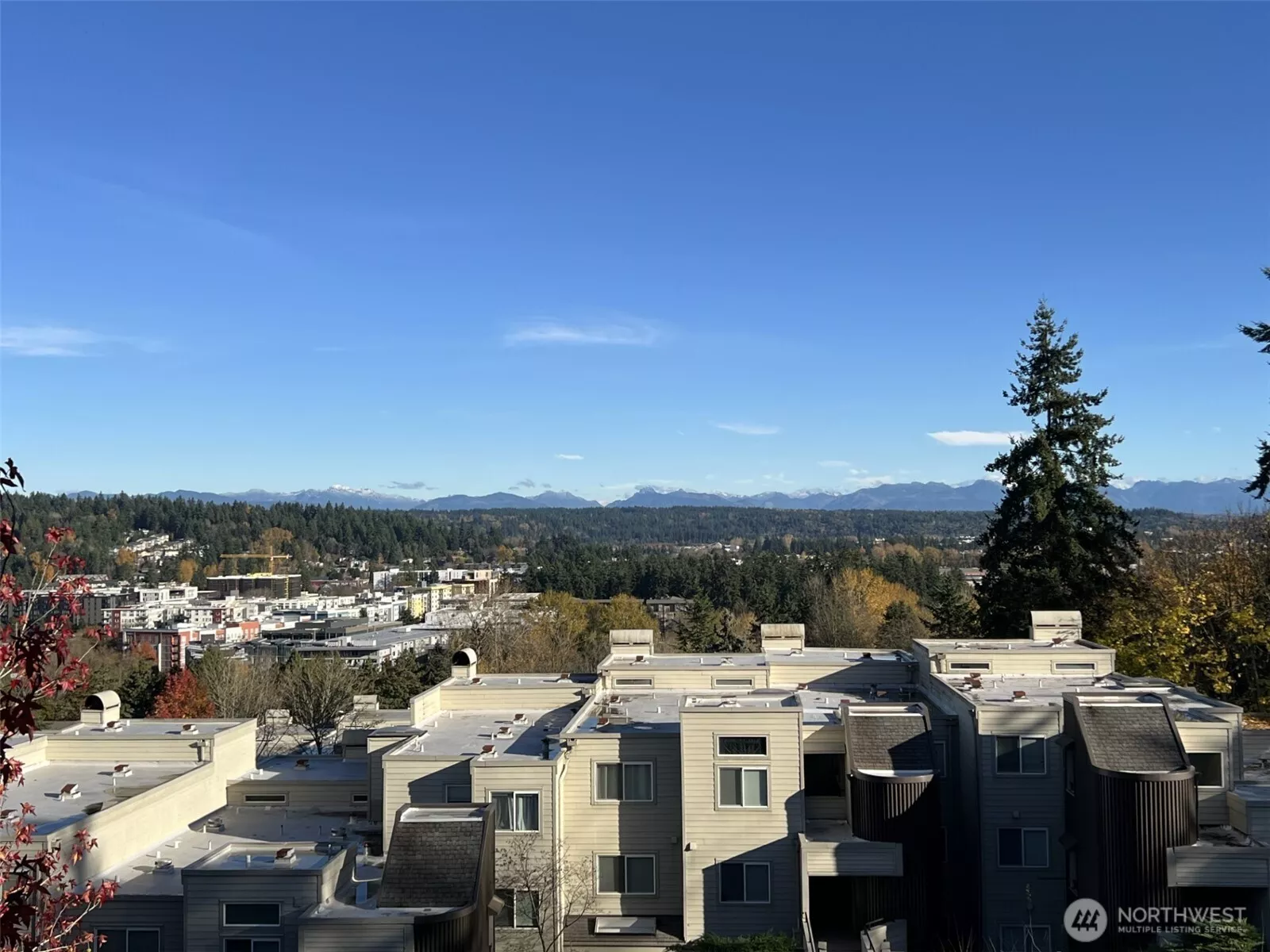 Spectacular Cascade Mtn view over downtown Redmond!