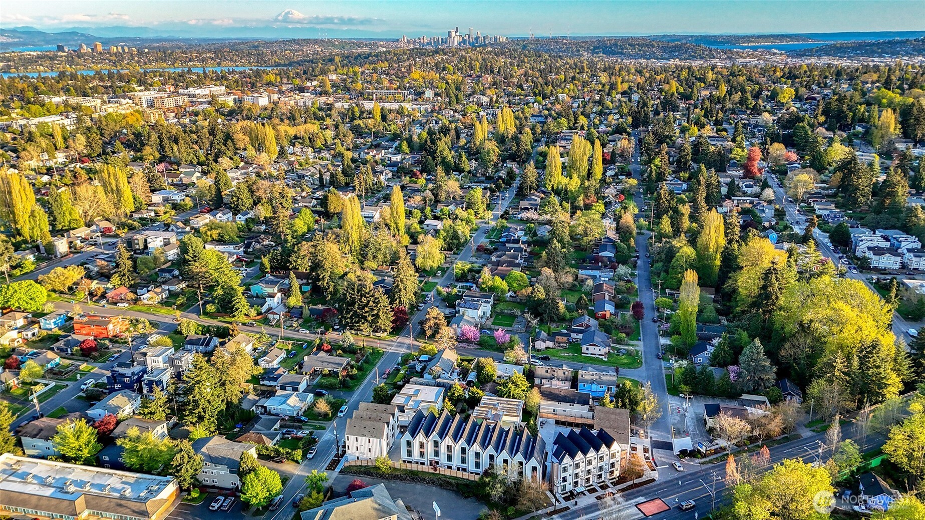 Seattle skyline and Mt. Rainier views in the distance — this perspective highlights how connected you are to both city energy and natural beauty.
