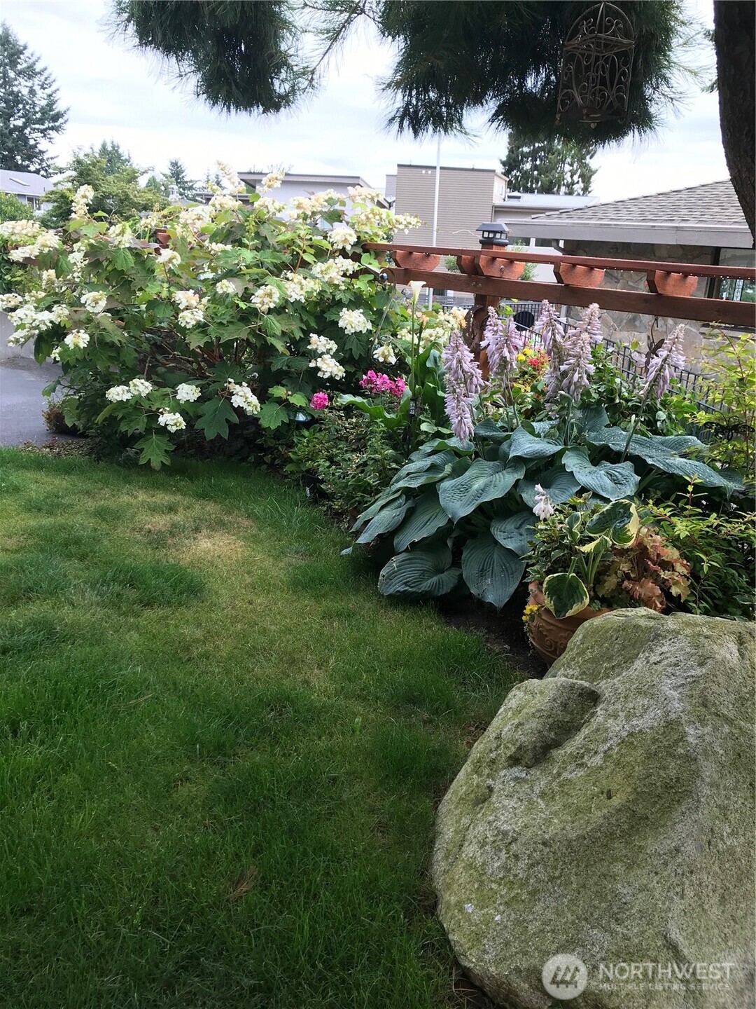 Blooming yard in summertine