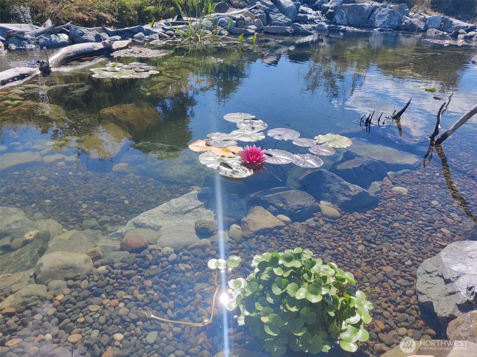 ARIEL VIEW OF PROPERTY WITH POND