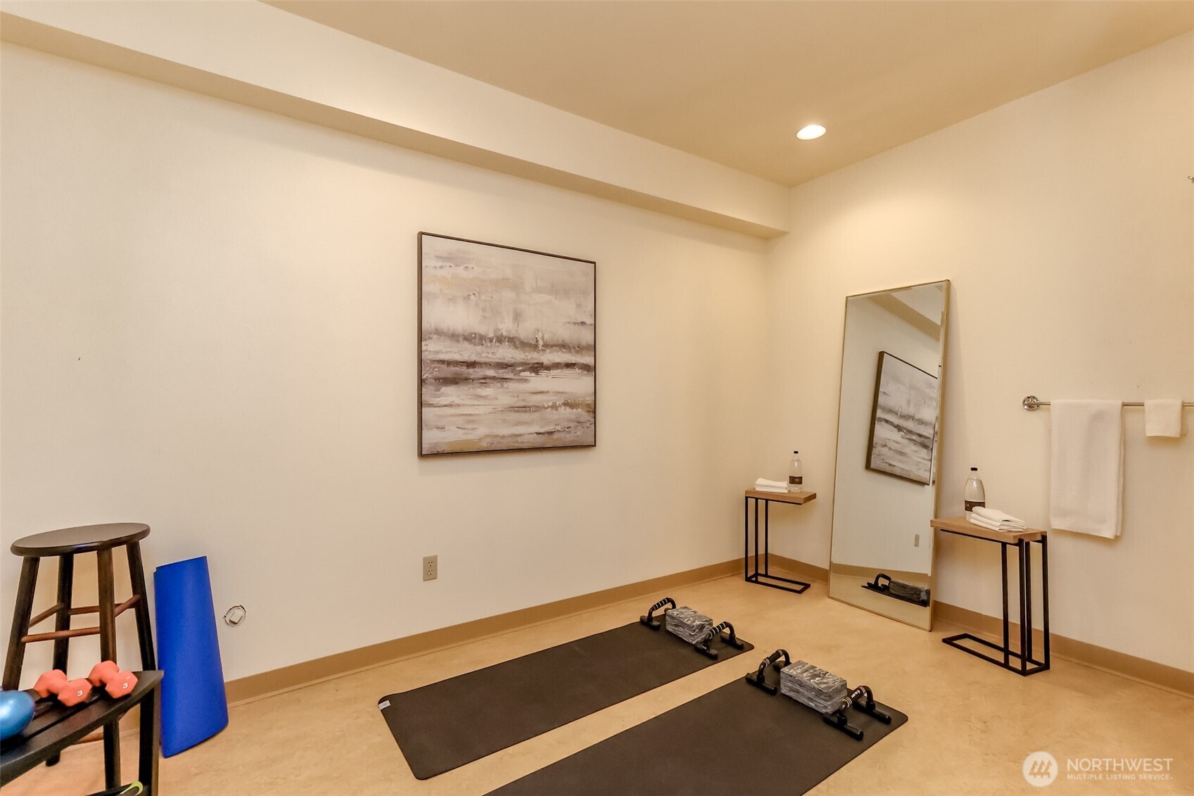 Downstairs bathroom with flooring for lifting weigths and excercising