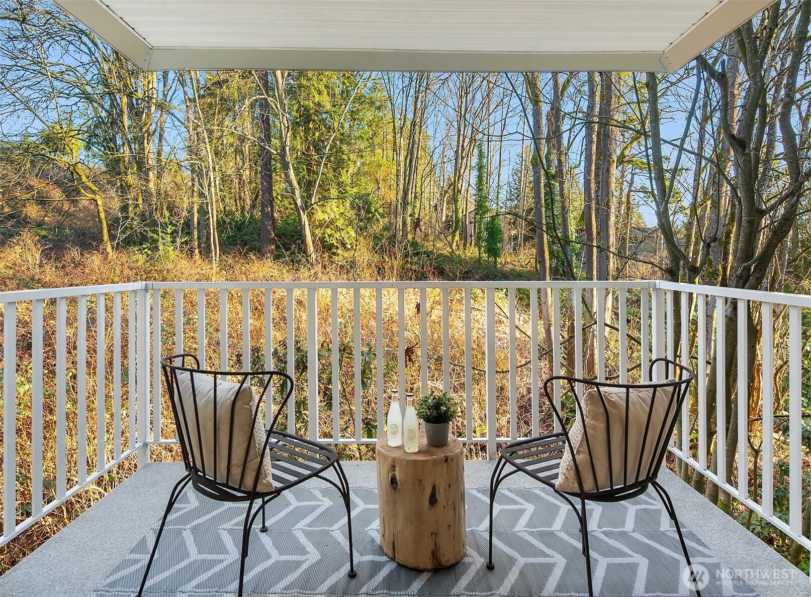 Quartz counters, soft-close cabinets, induction oven, newer SS appliances