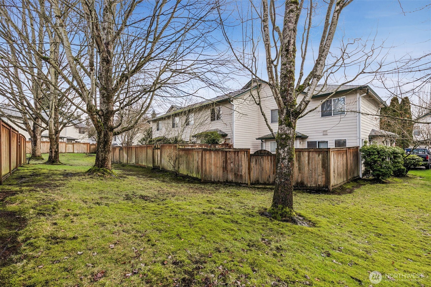 This is the greenbelt off the backyard patio.