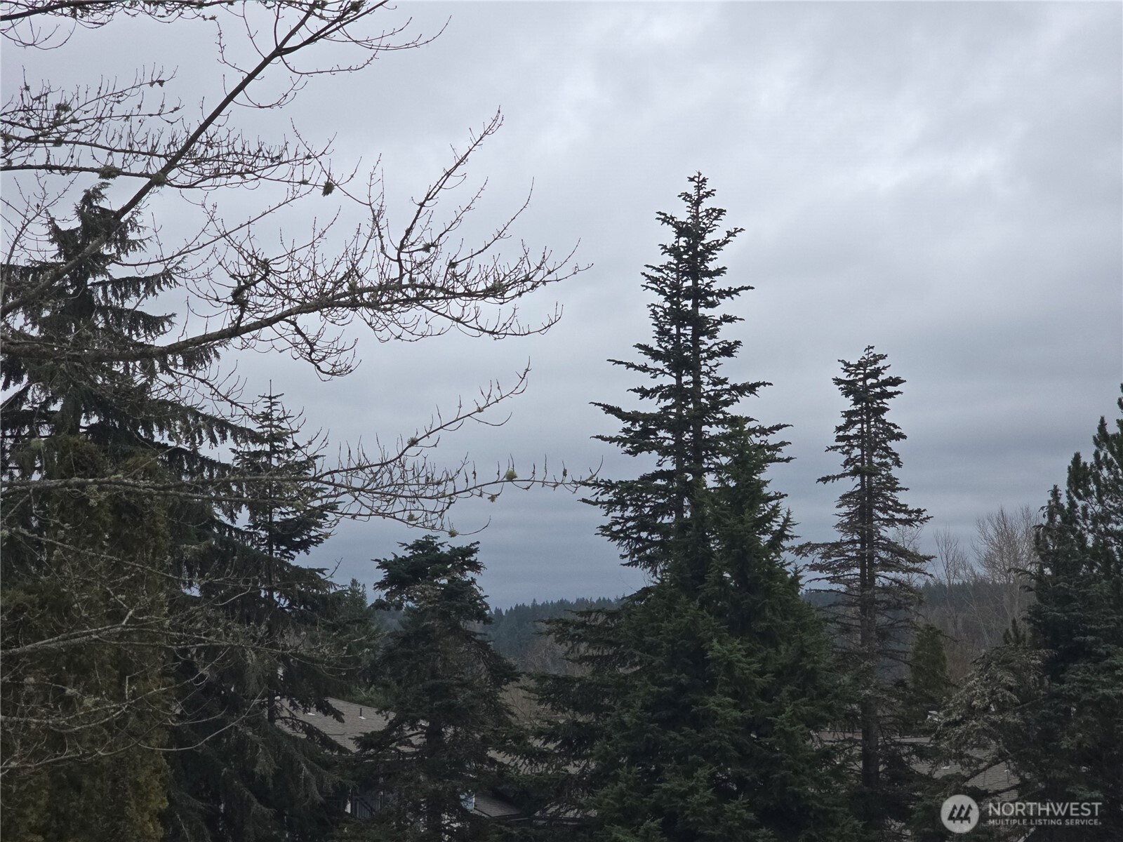 2nd bedroom, great veiws