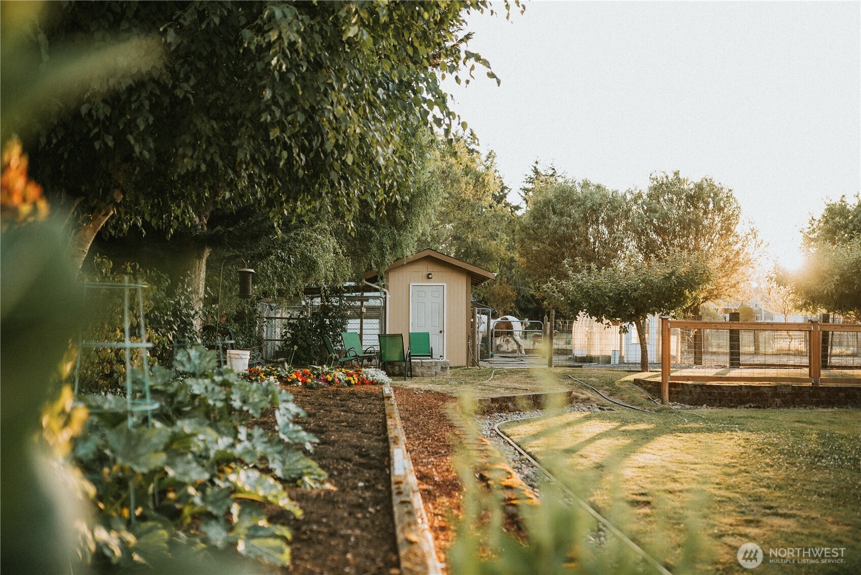 The landscape includes a culinary herb garden, white table grapes on an arbor, and a productive berry patch with raspberries, strawberries, and blueberries. An established orchard features multiple apple varieties, Italian prunes, Asian plum, pear, cherry, and wild field apples. Raised garden beds sit within a low-maintenance English-style garden designed to support pollinators, alongside a lavender garden with English, Spanish, and French varieties.