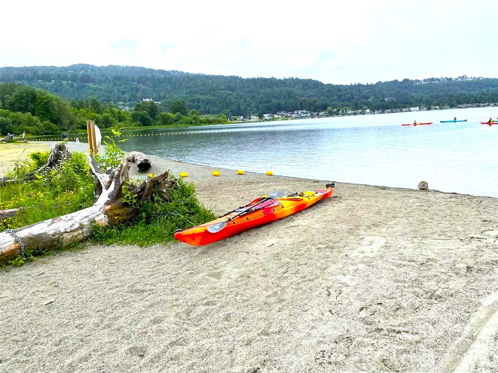 Lake Sammamish Beach Park