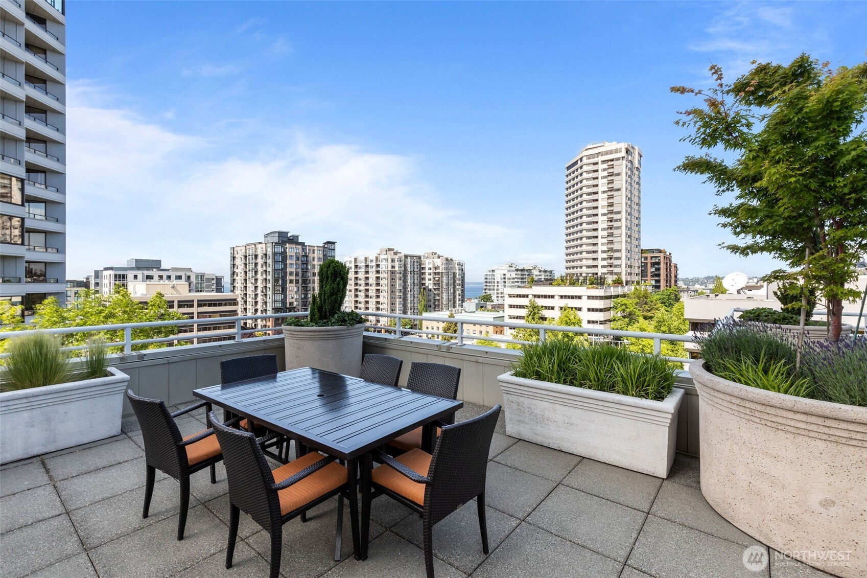 View Terrace with BBQ's, Water and iconic Space Needle Views