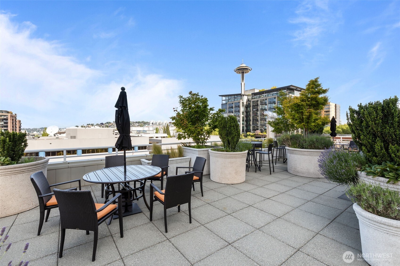 View Terrace with BBQ's, Water and iconic Space Needle Views