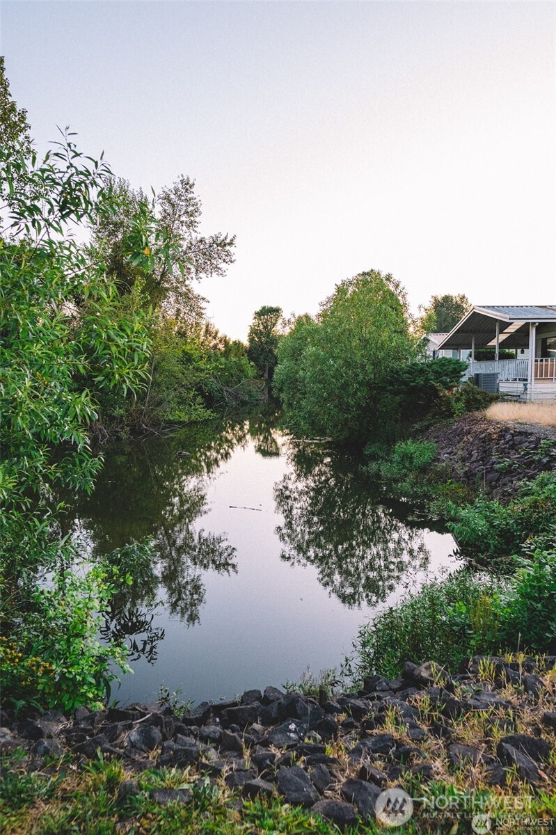 one of several pond areas in the park