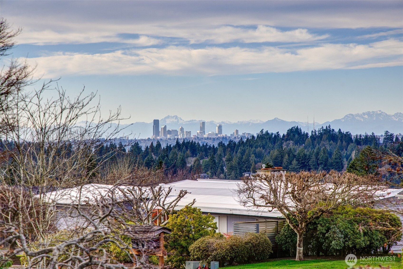 View of the Olympic Mountains and DT Seattle