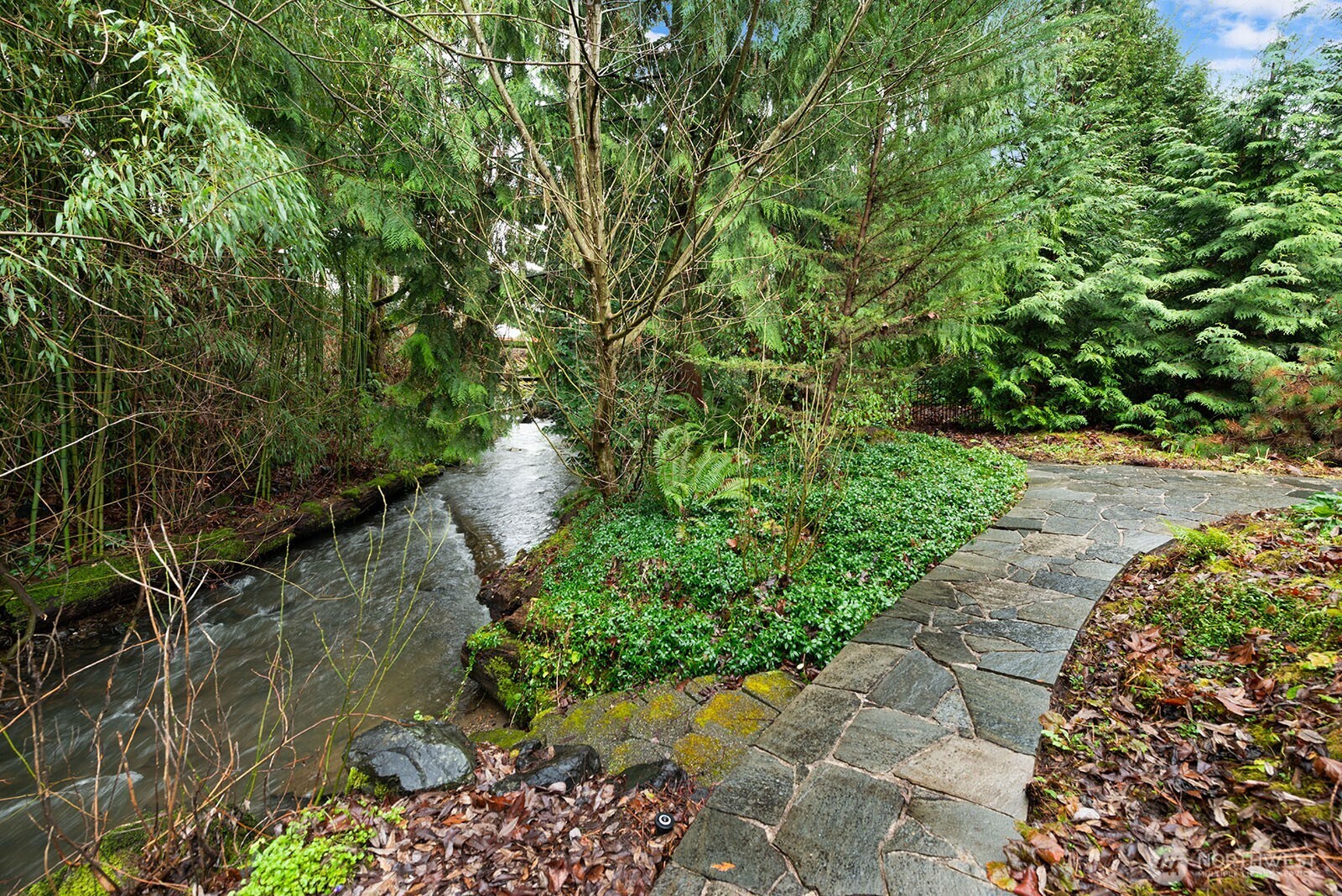 Coal Creek travels from the foothills of Issaquah to Lake Washington and is a corridor for local wildlife and birds. Watch Coho salmon and cutthroat trout spawn from in your own backyard!