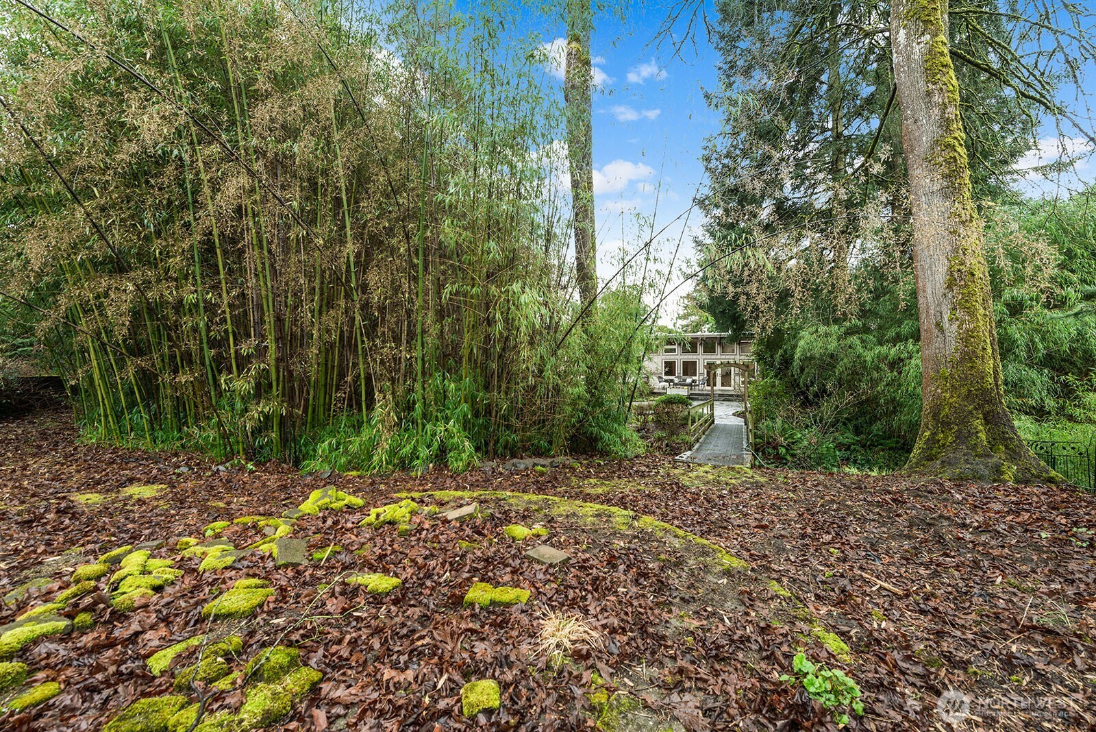 The back portion of the lot features an old firepit area waiting to be restored as well as a bamboo forest longing to be explored.