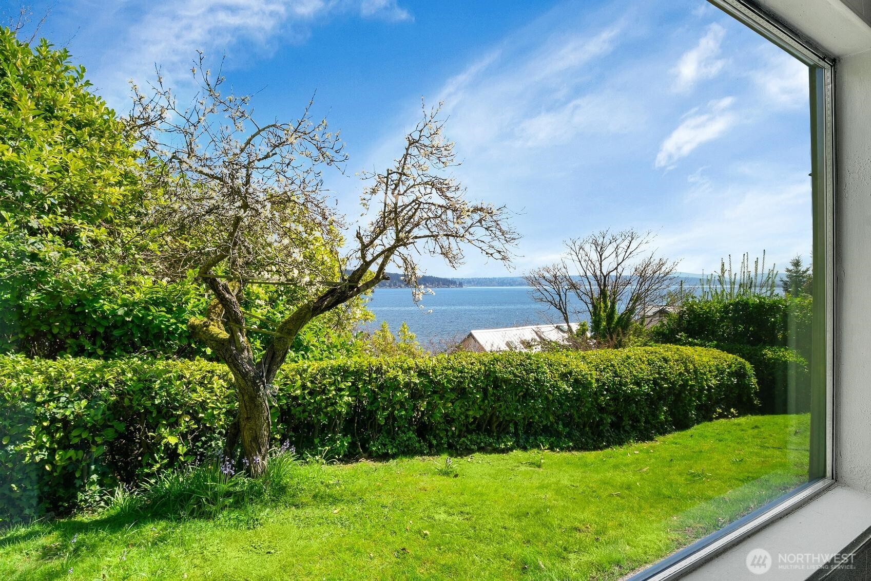 Great view from the living room!