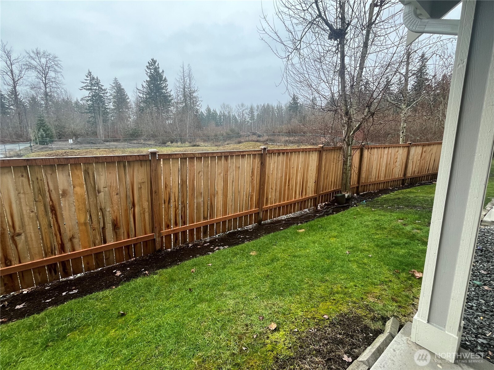 View out the Back