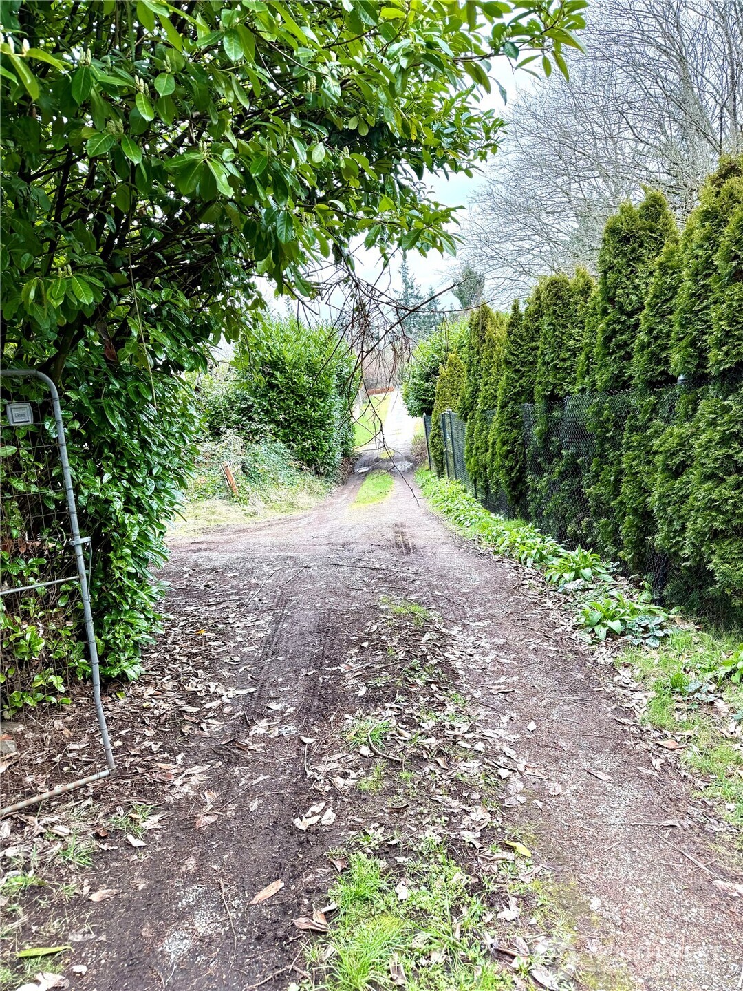 ALLEY ACCESS