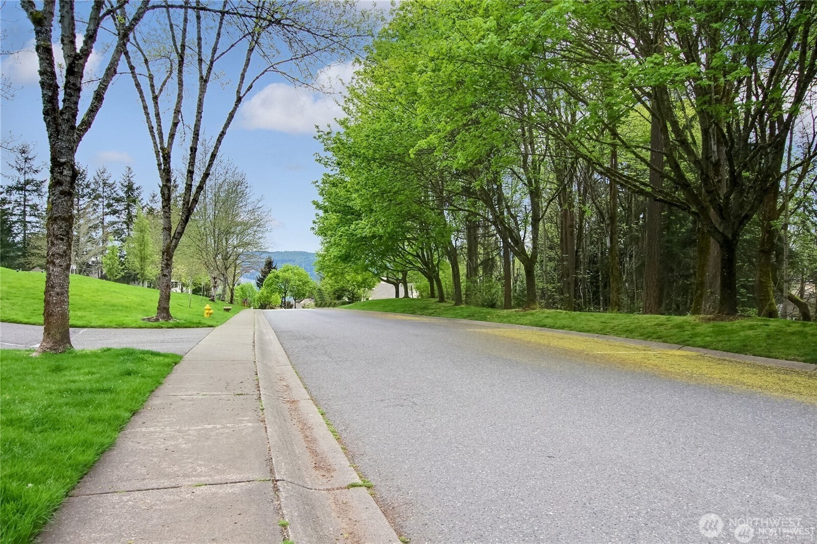 Beautiful landscape through out the community