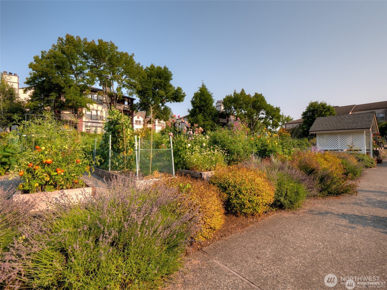 Enjoy gardening with your friends from the community.