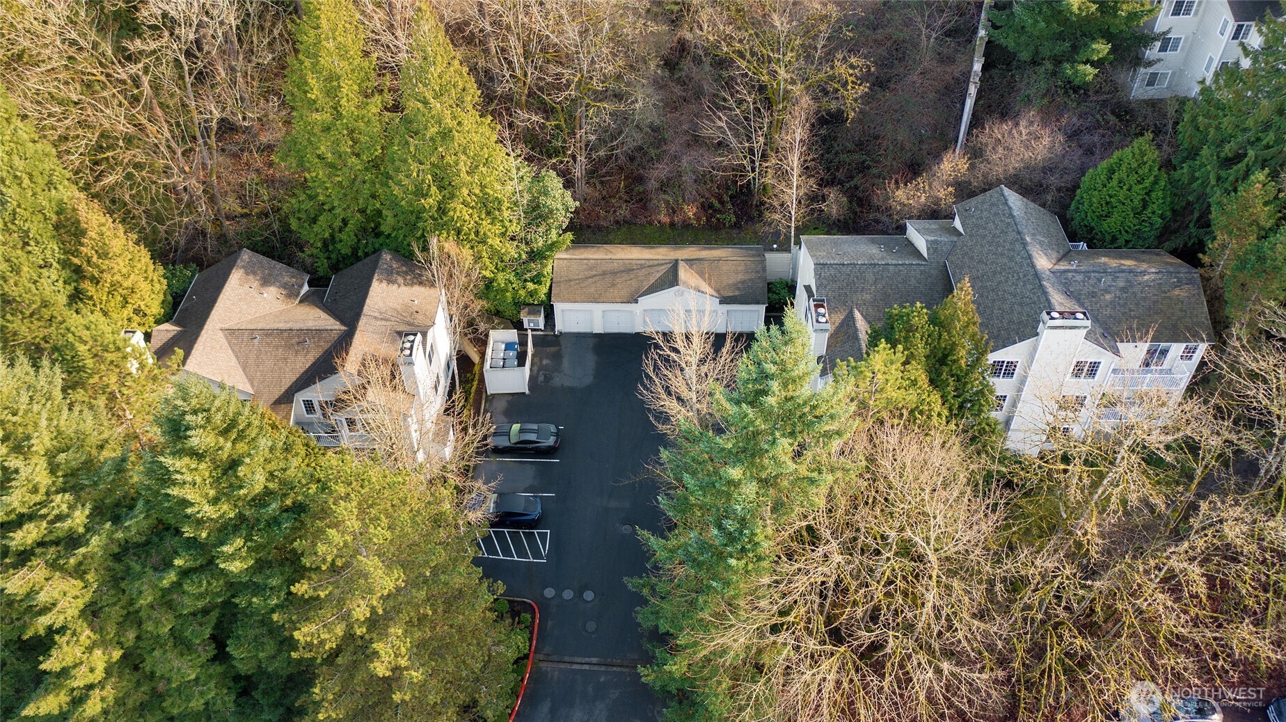 Complex is nestled into mature trees