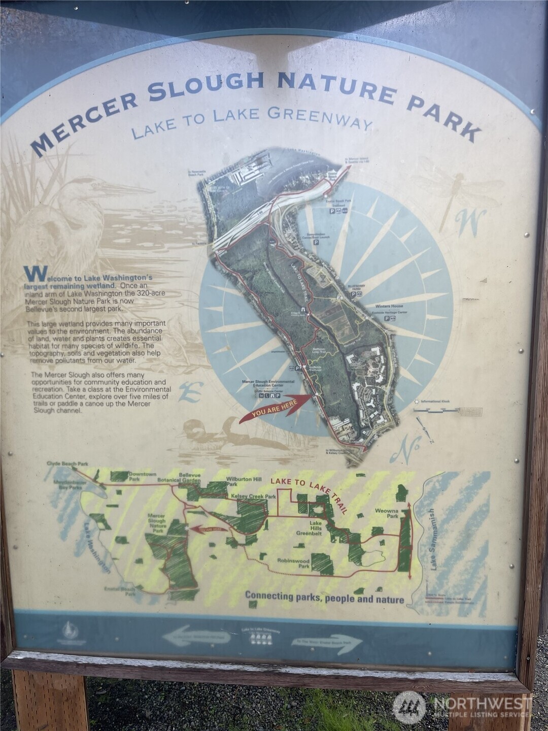 Across the street from the Mercer Slough Park