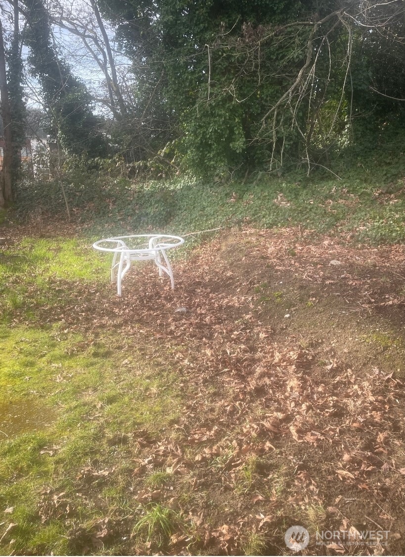 Back yard