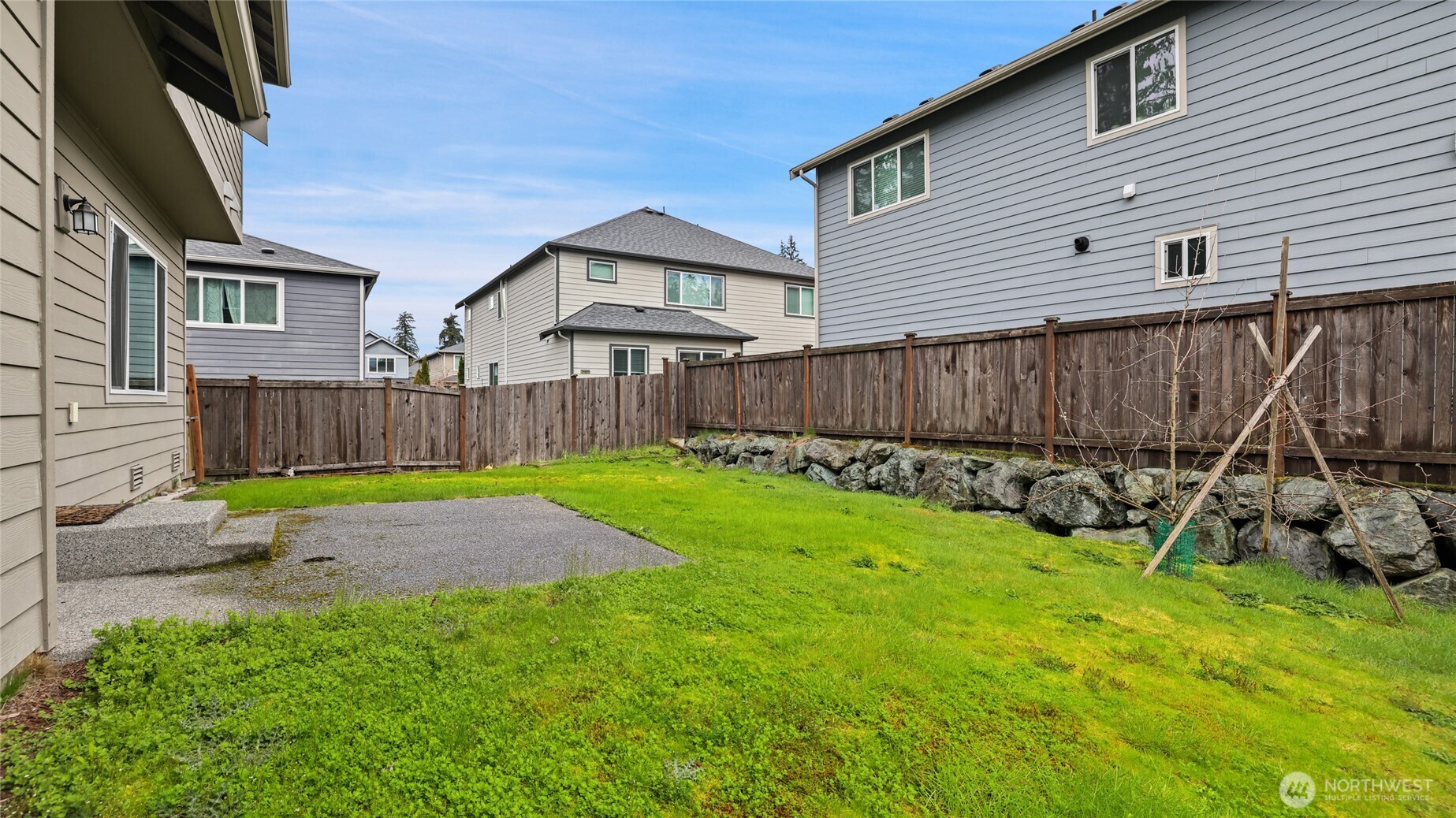 back yard