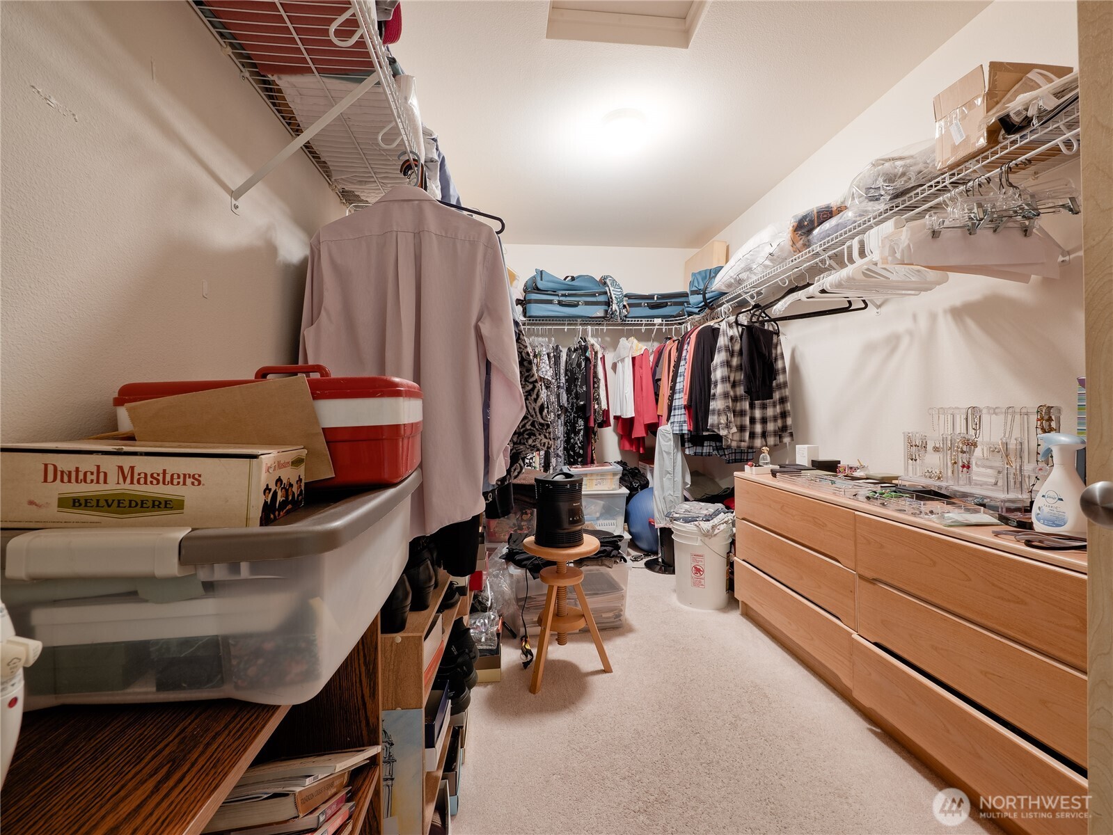 Large primary walk-in closet