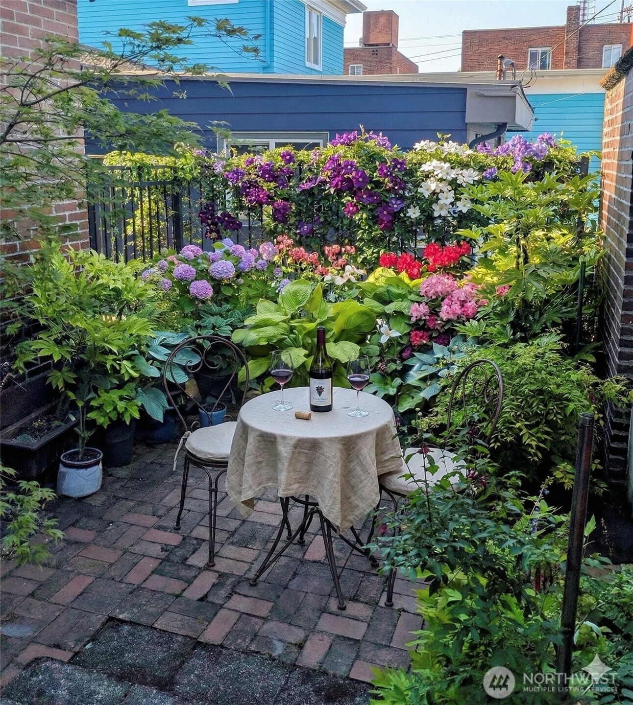 The Back Patio in Full Bloom!