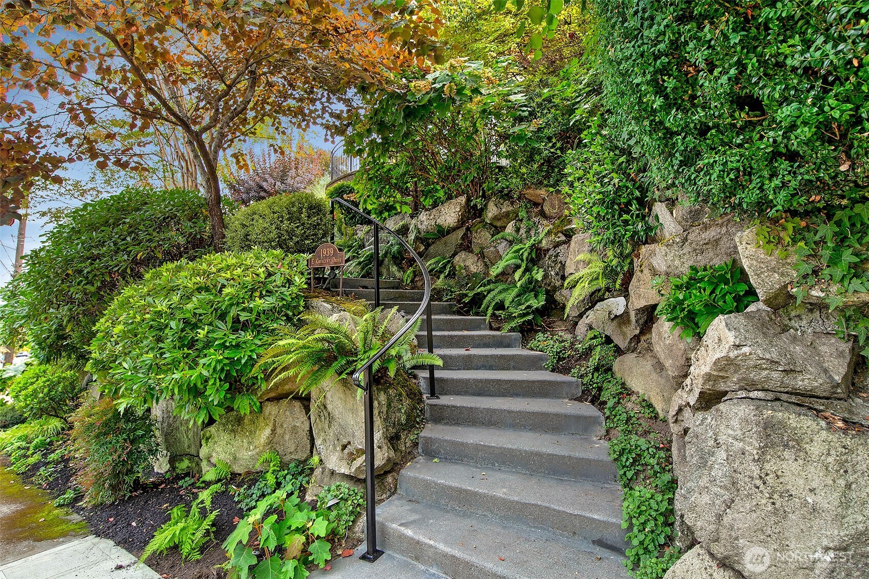 Come on up and fall in love!