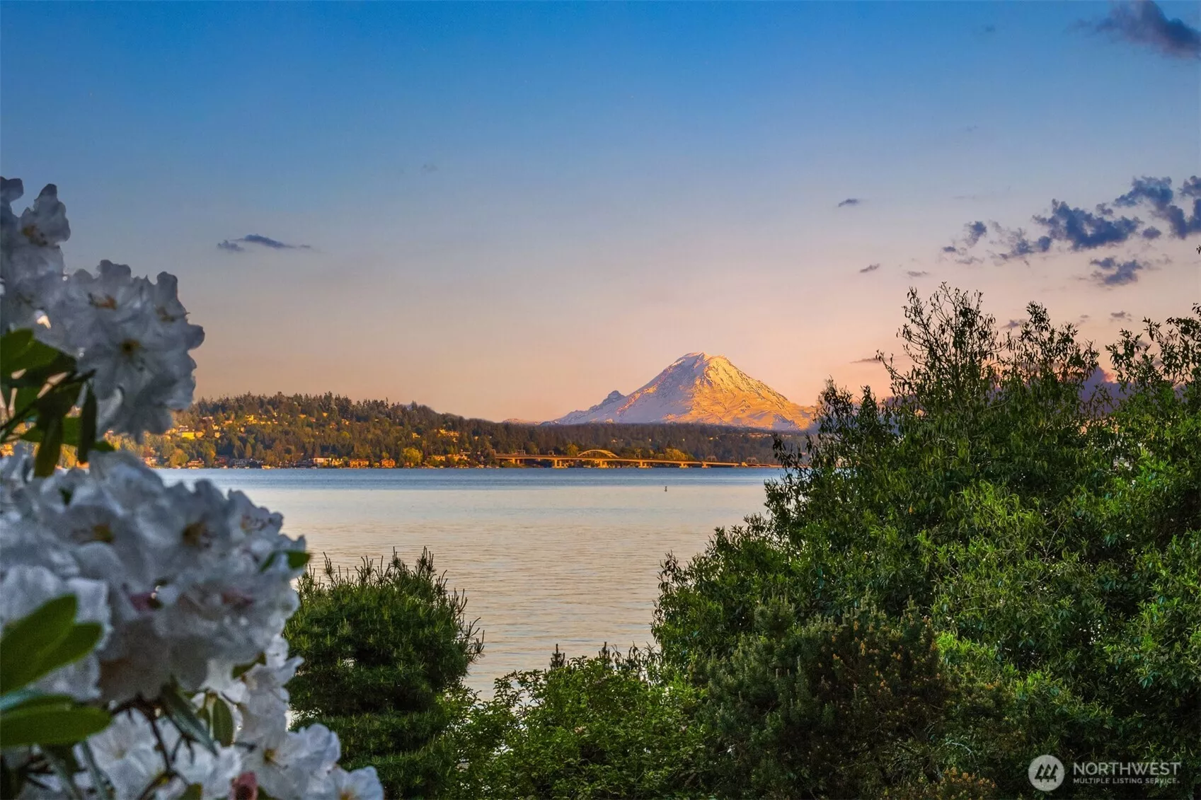 Mt Rainier and Lake Washington