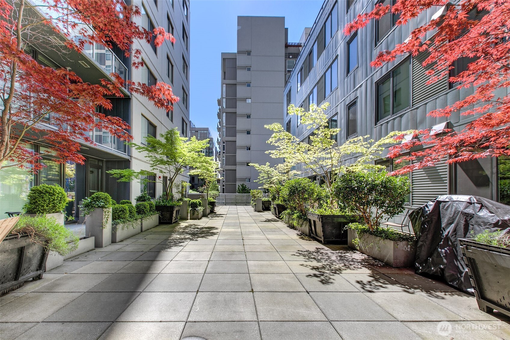 Dine or enjoy the media center