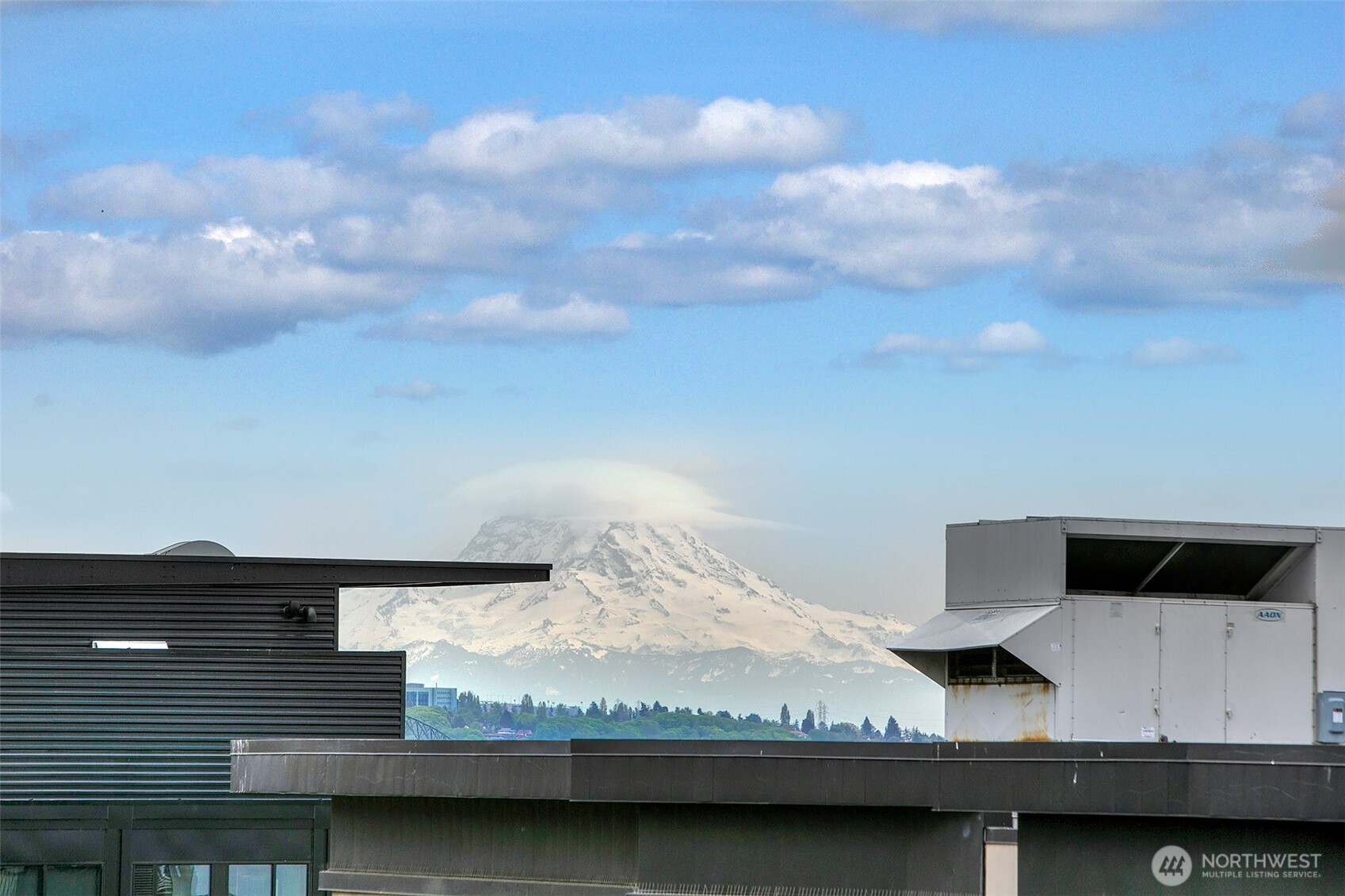 Mt Rainier from the South side of the rooftop deck.