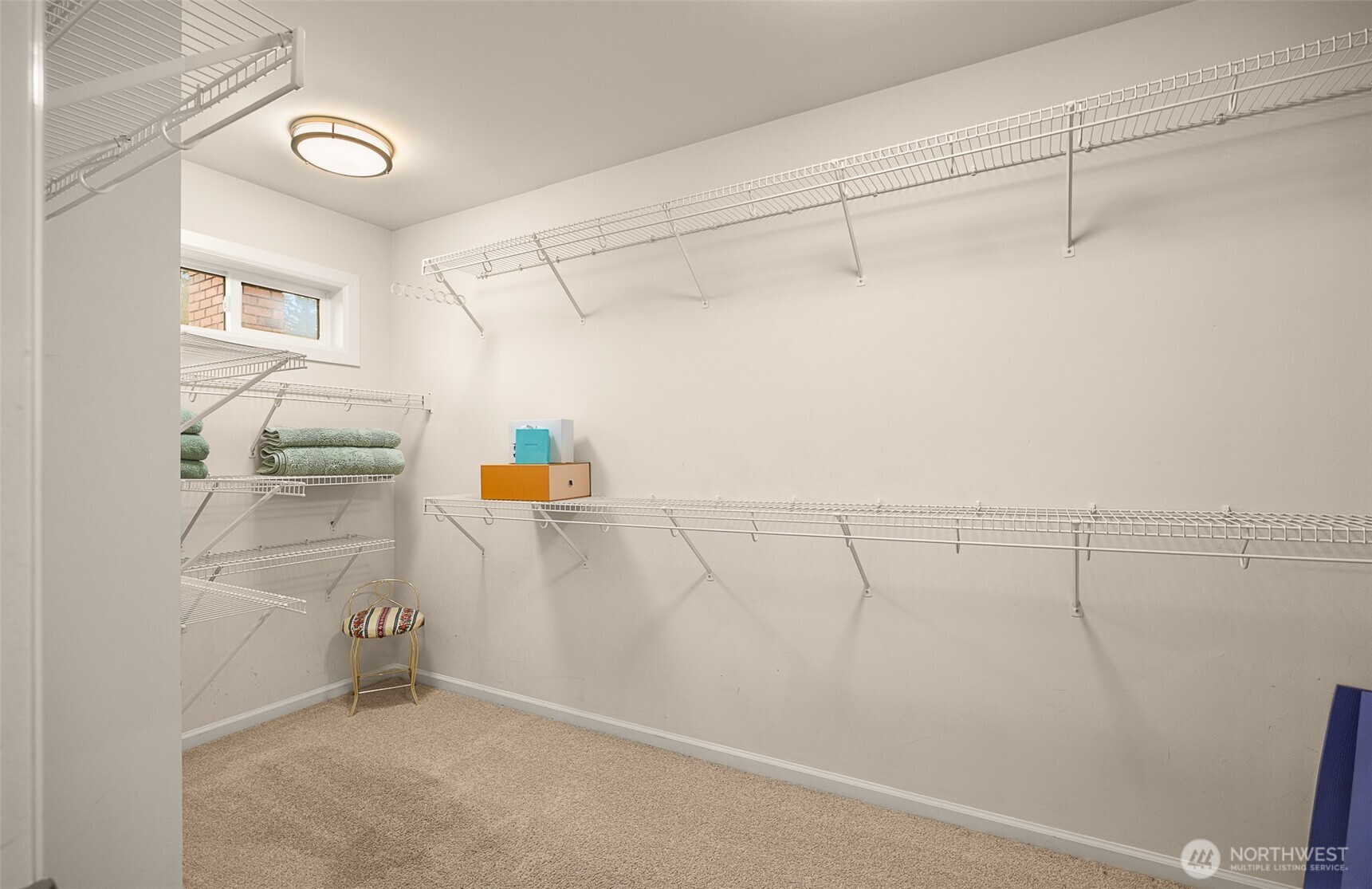 Expansive bonus/flex room with storage closet