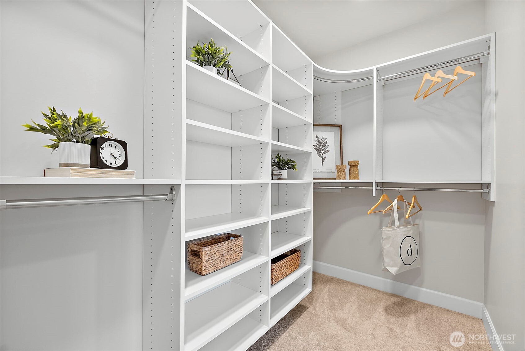 Primary Walk-in closet with carpeted flooring
