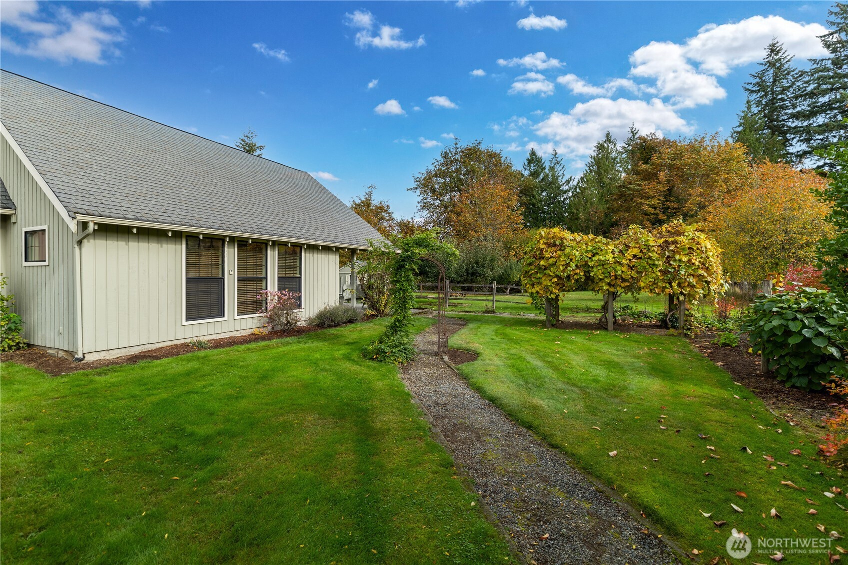 Backyard garden with climbing grapevines.