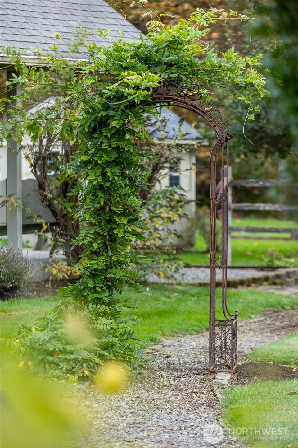 Tranquil yard with natural surroundings.
