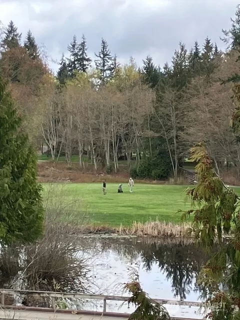 Beautiful views of the pool and the pond!