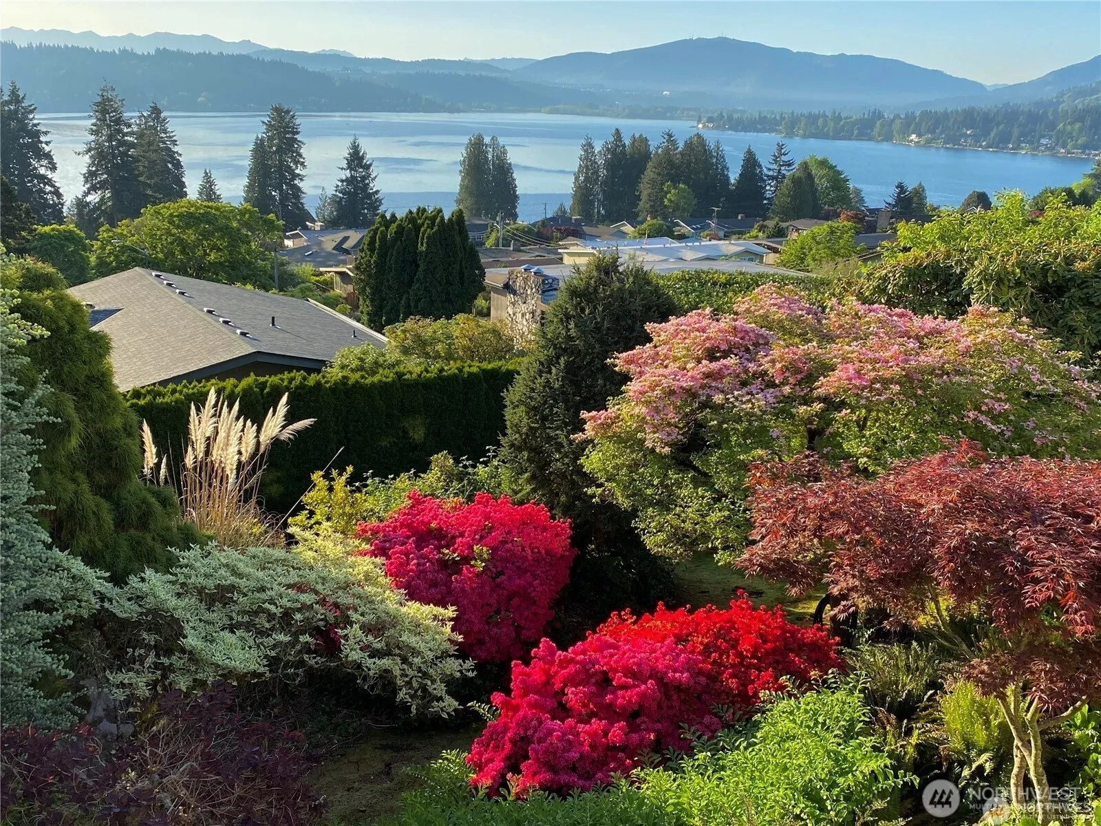 Lush, private backyard landscaping with vibrant flowering shrubs and unobstructed Lake Sammamish and Cascade views.