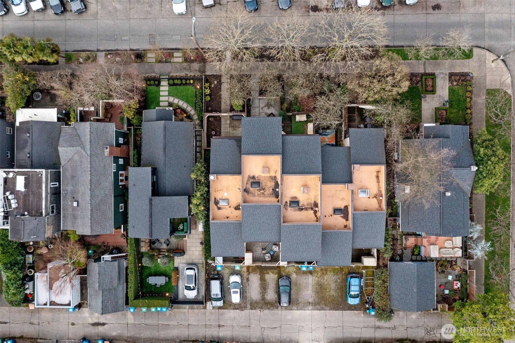 A glimpse into spring